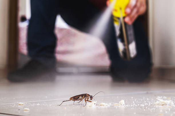 Best Pest Control Near Me in Woods Creek, WA